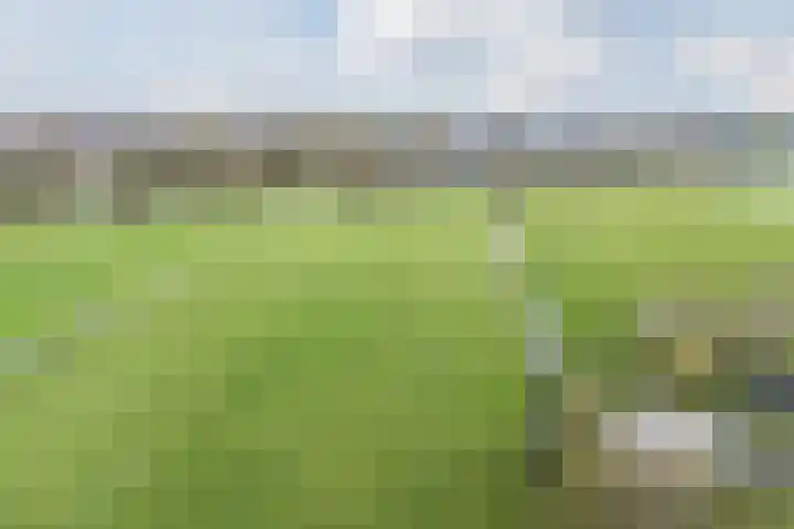 Oud-Bodegraafseweg 108 Bodegraven thumbnail 61