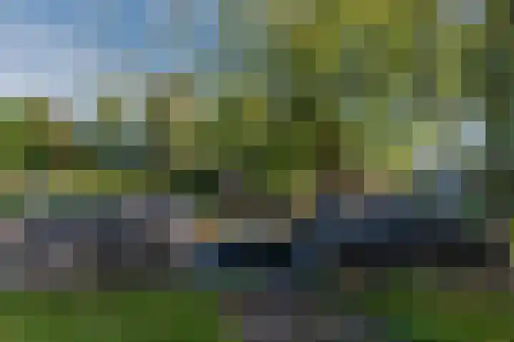 Oud-Bodegraafseweg 112 Bodegraven thumbnail 16