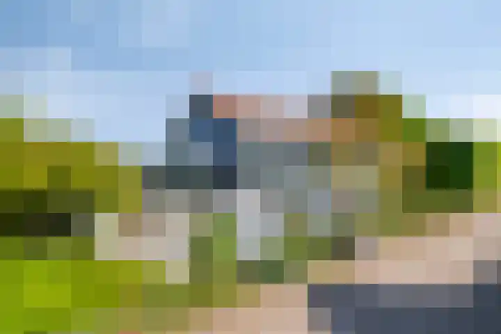 Oud Bonaventurasedijk 100 en Strijen