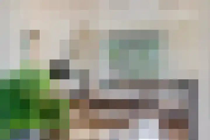 Oud Bonaventurasedijk 100 Strijen thumbnail 12