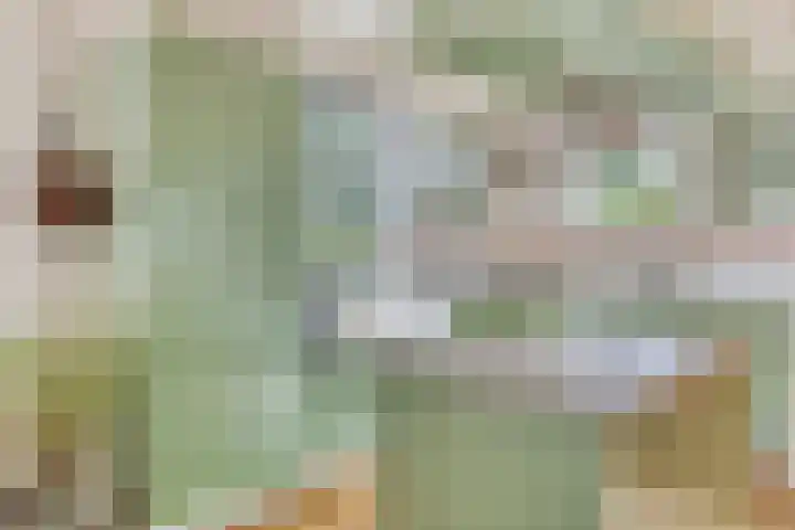 Oud Bonaventurasedijk 100 Strijen thumbnail 13