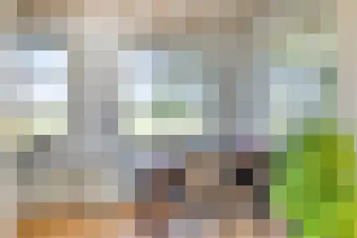 Oud Bonaventurasedijk 100 Strijen thumbnail 16