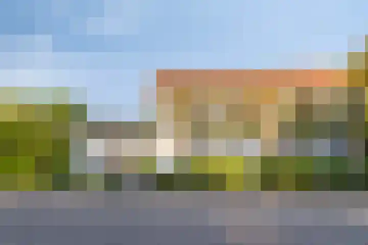 Oud Bonaventurasedijk 100 Strijen foto 2