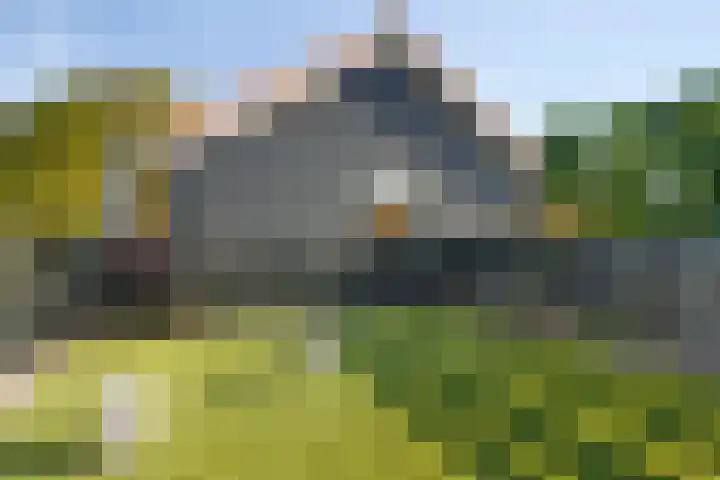 Oud Bonaventurasedijk 100 Strijen thumbnail 21