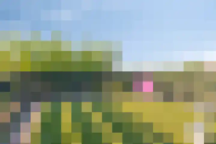 Oud Bonaventurasedijk 100 Strijen thumbnail 22