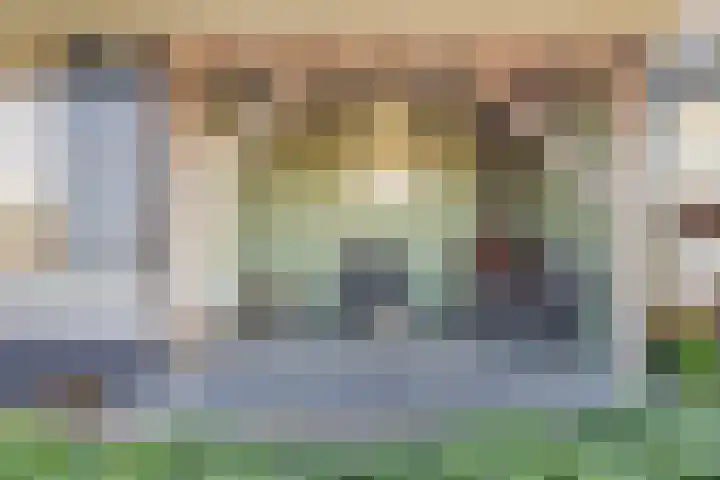 Oud Bonaventurasedijk 100 Strijen thumbnail 24