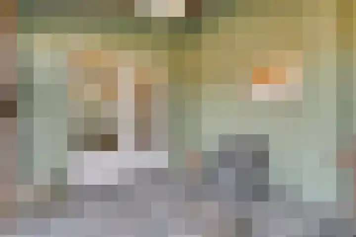 Oud Bonaventurasedijk 100 Strijen thumbnail 25