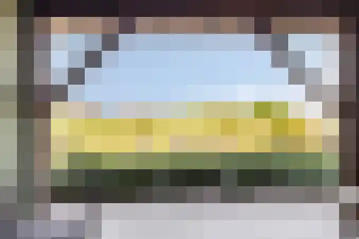 Oud Bonaventurasedijk 100 Strijen thumbnail 26