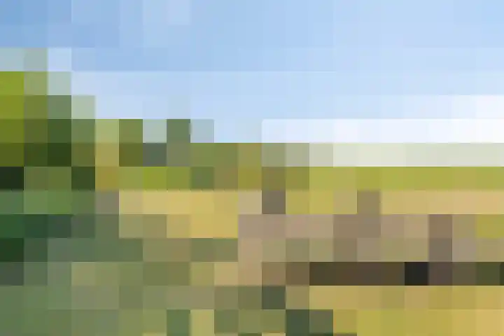 Oud Bonaventurasedijk 100 Strijen thumbnail 28