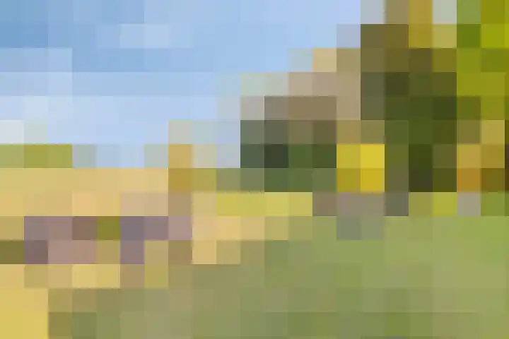 Oud Bonaventurasedijk 100 Strijen thumbnail 29
