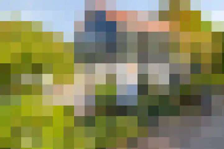 Oud Bonaventurasedijk 100 Strijen foto 3