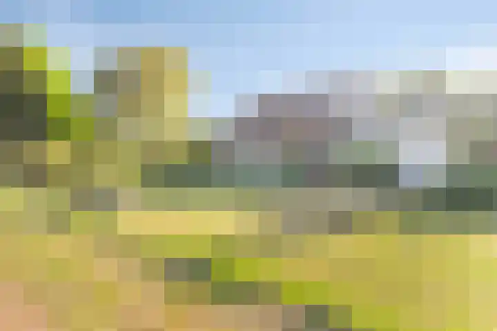 Oud Bonaventurasedijk 100 Strijen thumbnail 30