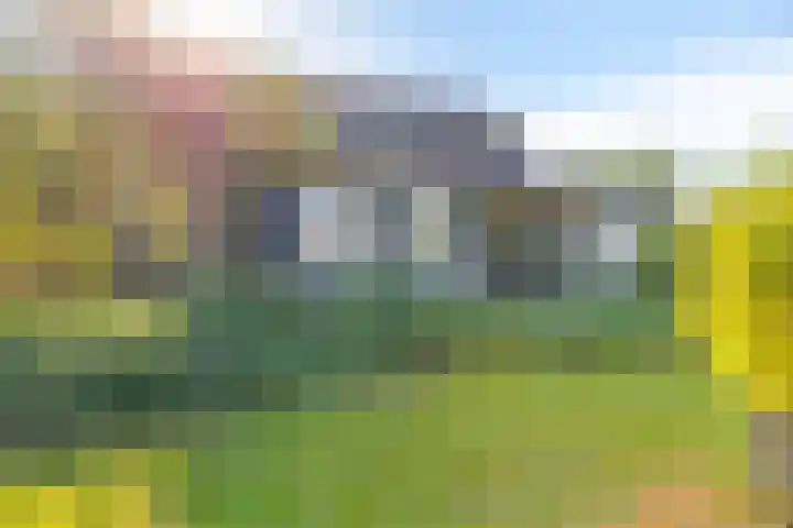 Oud Bonaventurasedijk 100 Strijen thumbnail 31