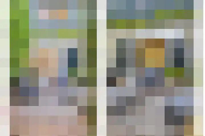 Oud Bonaventurasedijk 100 Strijen thumbnail 32