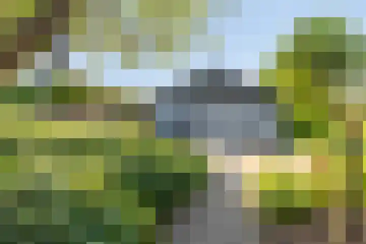 Oud Bonaventurasedijk 100 Strijen thumbnail 33