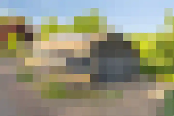Oud Bonaventurasedijk 100 Strijen thumbnail 35