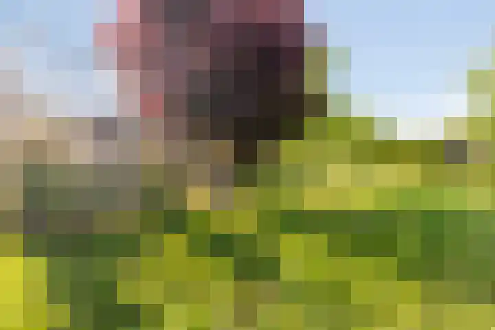 Oud Bonaventurasedijk 100 Strijen thumbnail 36