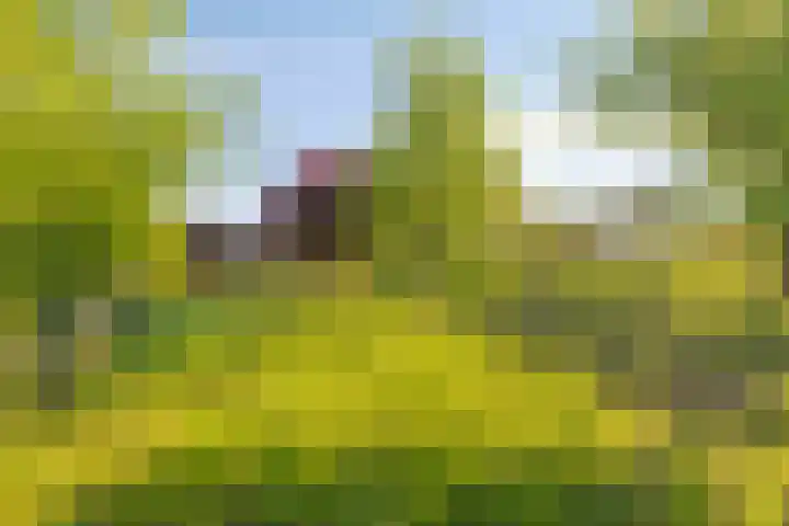 Oud Bonaventurasedijk 100 Strijen thumbnail 37