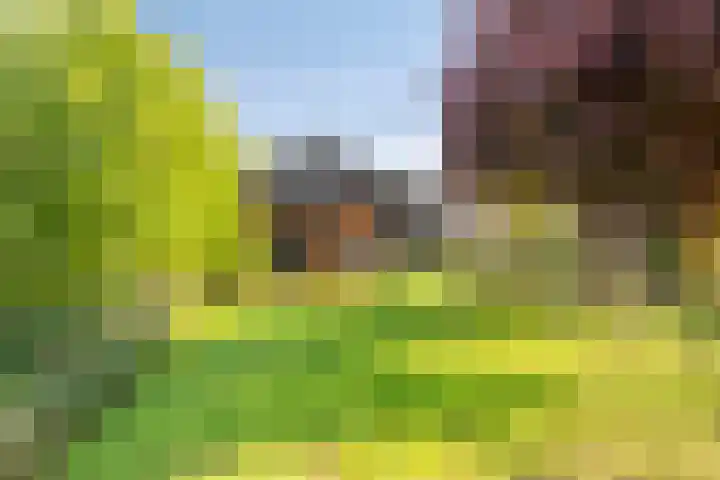 Oud Bonaventurasedijk 100 Strijen thumbnail 38