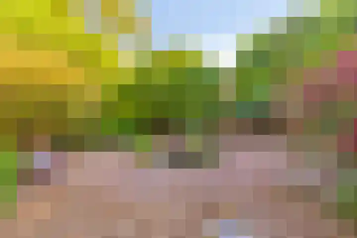 Oud Bonaventurasedijk 100 Strijen thumbnail 39