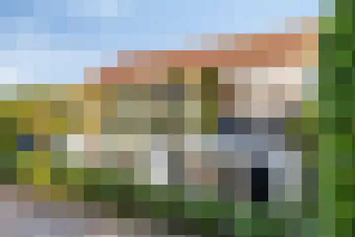 Oud Bonaventurasedijk 100 Strijen thumbnail 4