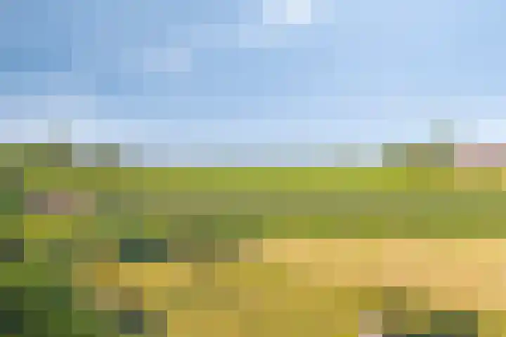 Oud Bonaventurasedijk 100 Strijen thumbnail 40