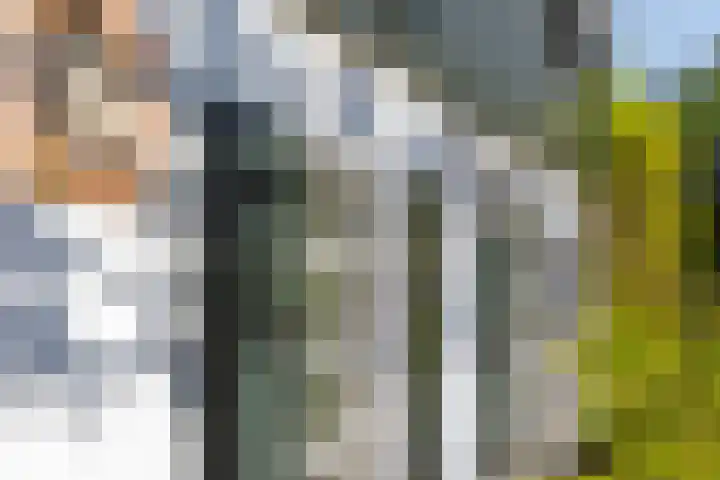 Oud Bonaventurasedijk 100 Strijen thumbnail 5