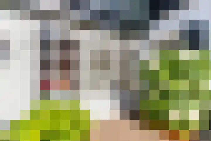 Oud Bonaventurasedijk 100 Strijen thumbnail 6