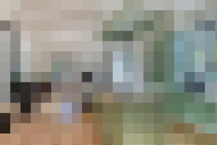 Oud Bonaventurasedijk 100 Strijen thumbnail 8