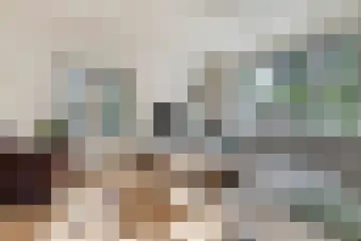 Oud Bonaventurasedijk 100 Strijen thumbnail 9