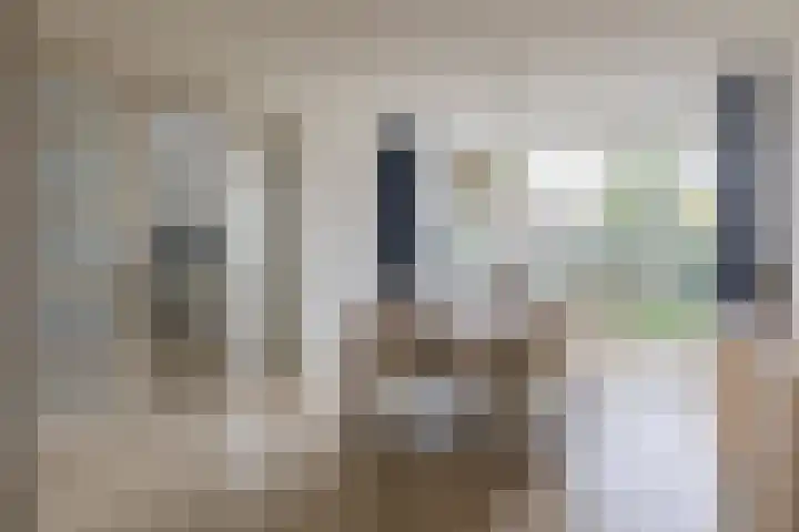 Oud Brandevoort 10 Helmond thumbnail 17