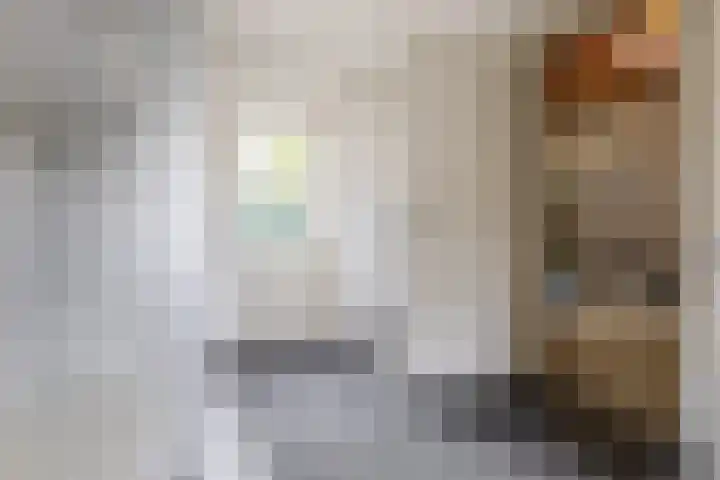 Oud Brandevoort 10 Helmond thumbnail 30