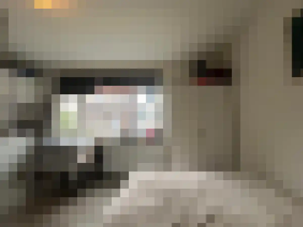 Oud Brandevoort 10 Helmond thumbnail 33