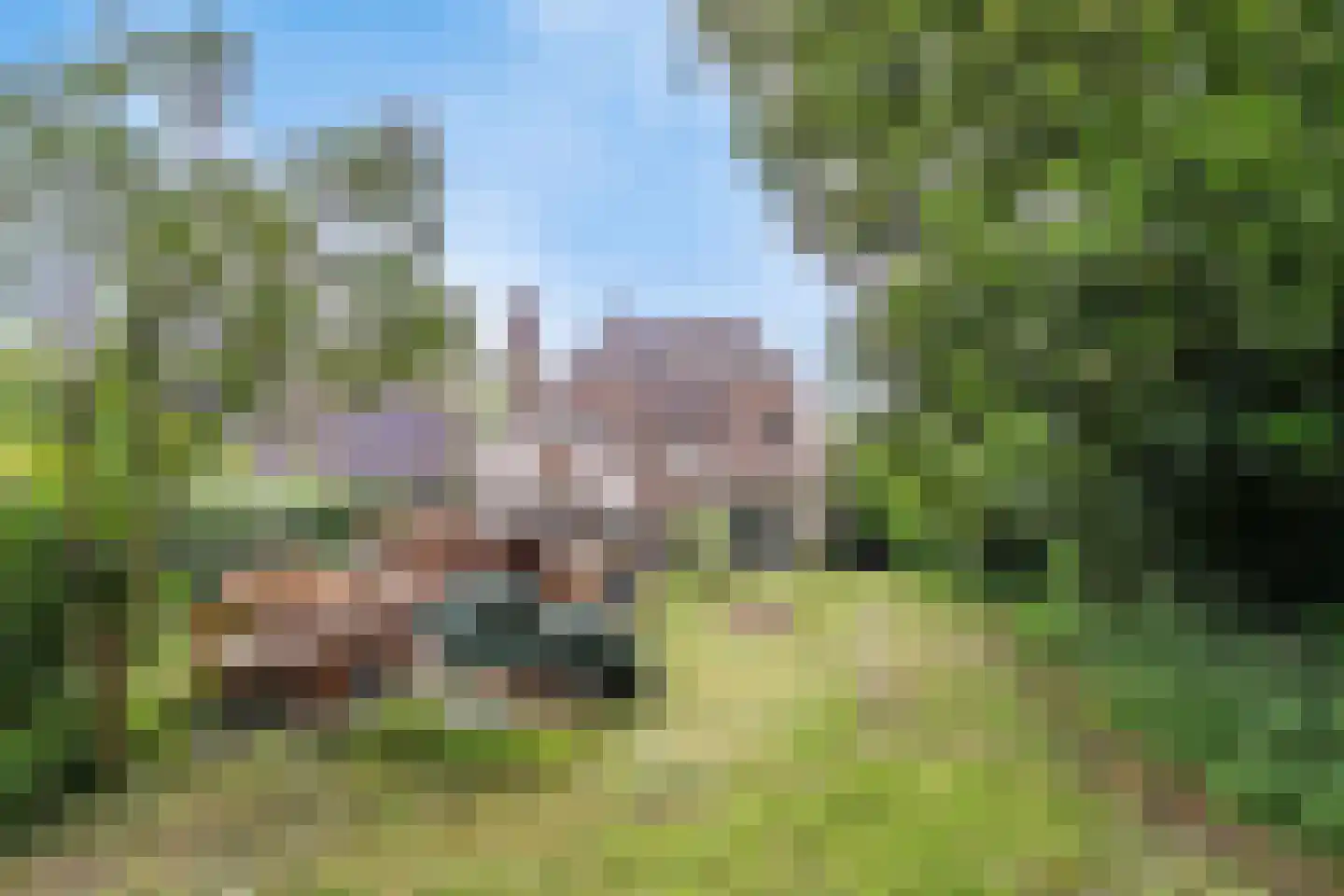 Oud Brandevoort 10 Helmond thumbnail 48