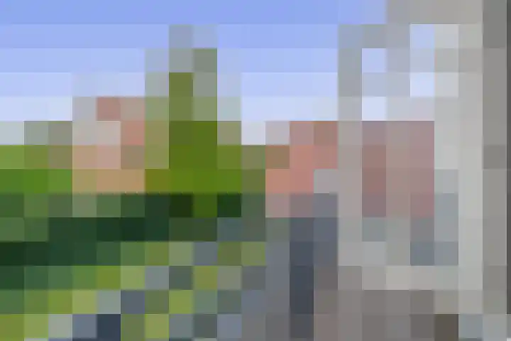Oud Brandevoort 10 Helmond thumbnail 49
