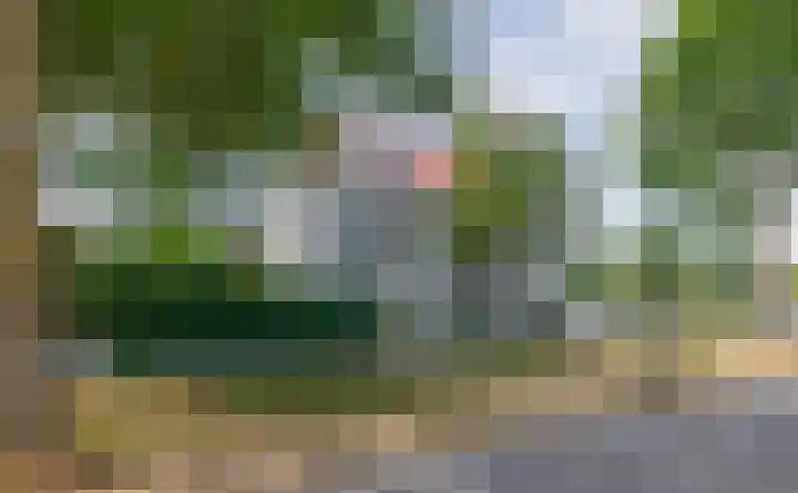 Oud Brandevoort 10 Helmond thumbnail 5