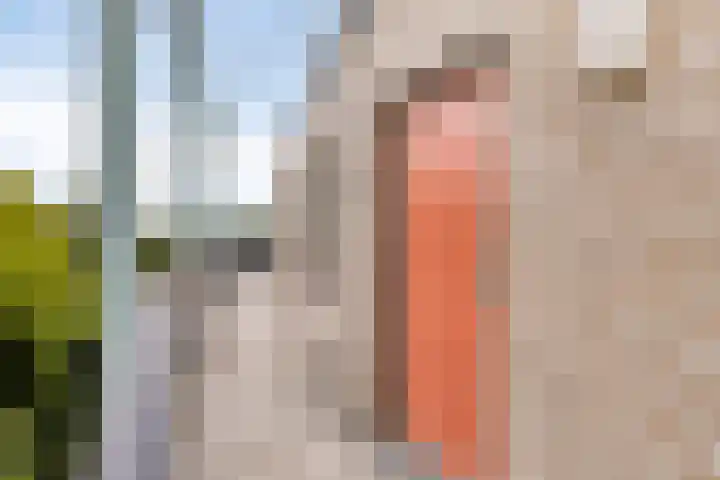 Oud Brandevoort 10 Helmond thumbnail 58