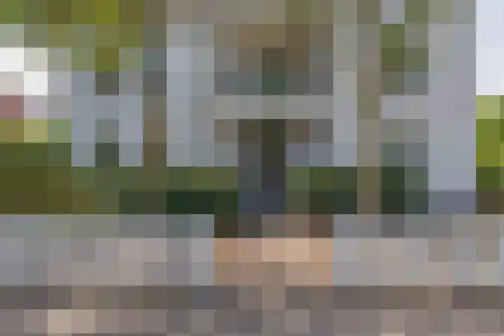 Oud Brandevoort 10 Helmond thumbnail 6