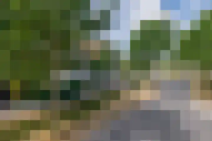 Oud Brandevoort 10 Helmond thumbnail 61