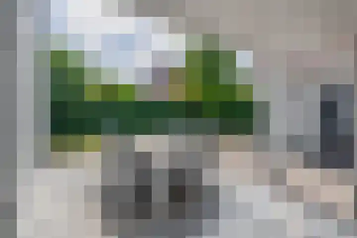 Oud Brandevoort 10 Helmond thumbnail 65