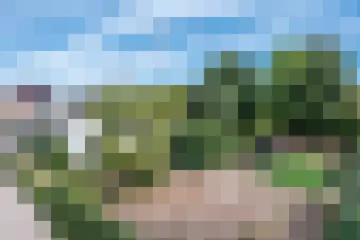 Oud Brandevoort 11 Helmond thumbnail 10