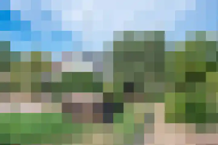 Oud Brandevoort 11 Helmond thumbnail 12