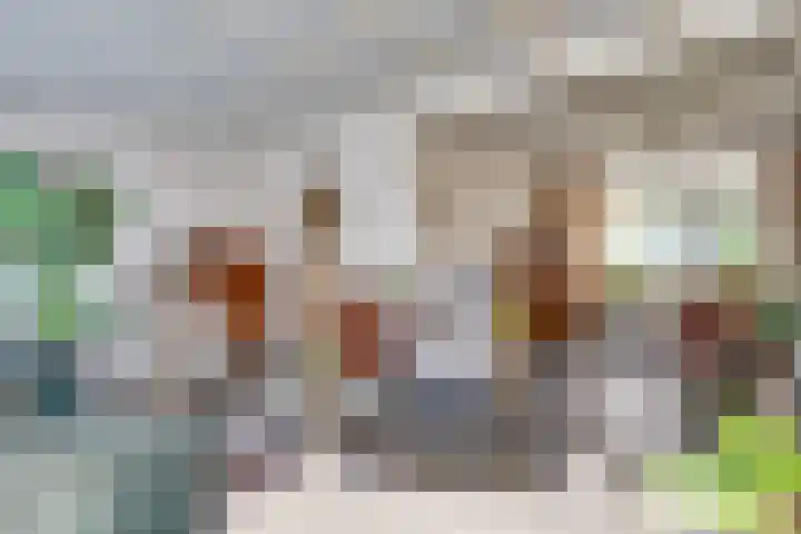 Oud Brandevoort 11 Helmond thumbnail 24