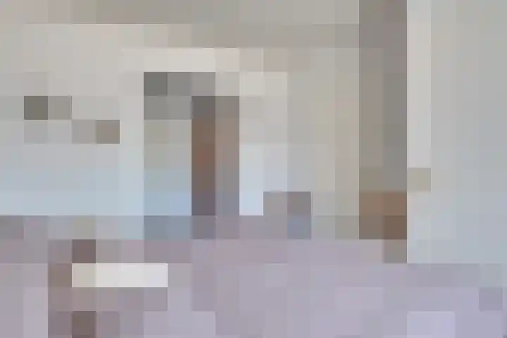 Oud Brandevoort 11 Helmond thumbnail 28