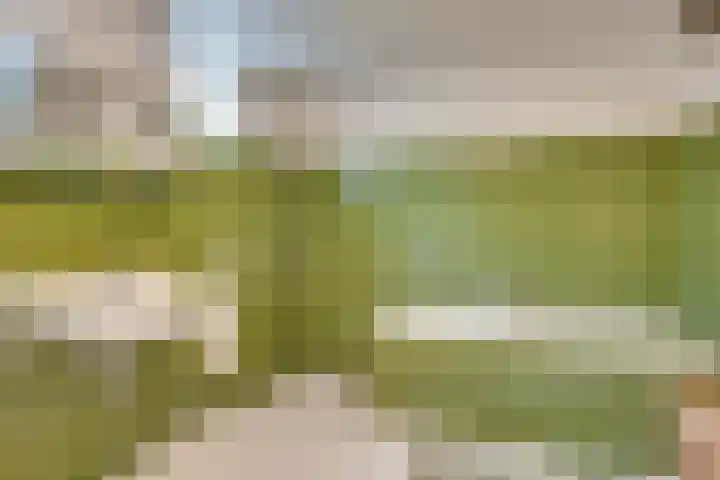 Oud Brandevoort 11 Helmond thumbnail 29
