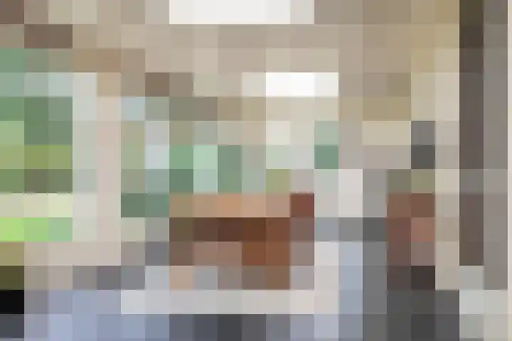 Oud Brandevoort 11 Helmond thumbnail 33