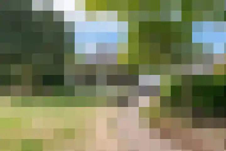 Oud Brandevoort 11 Helmond thumbnail 47