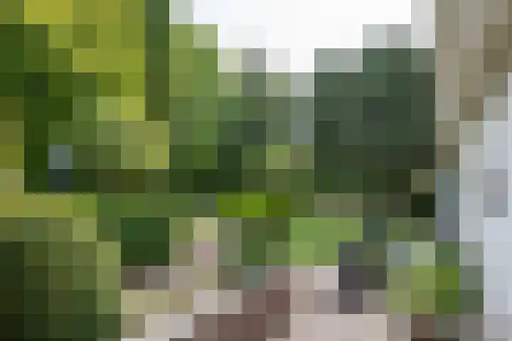 Oud Brandevoort 11 Helmond thumbnail 48