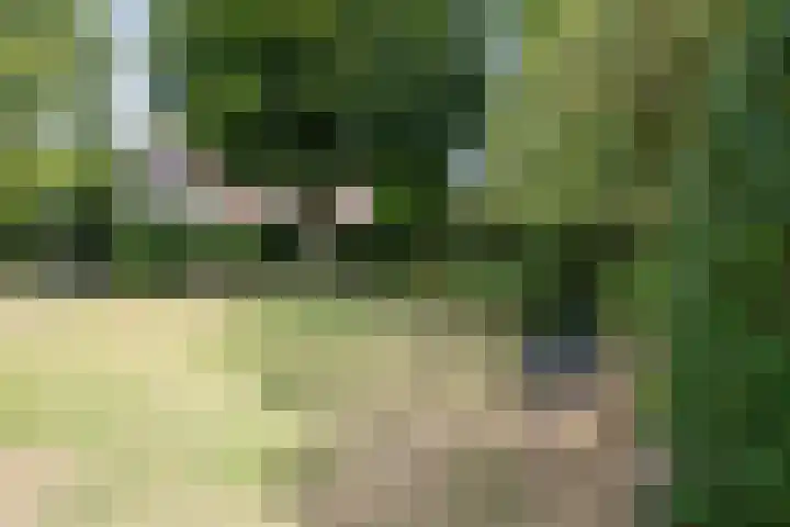 Oud Brandevoort 11 Helmond thumbnail 51