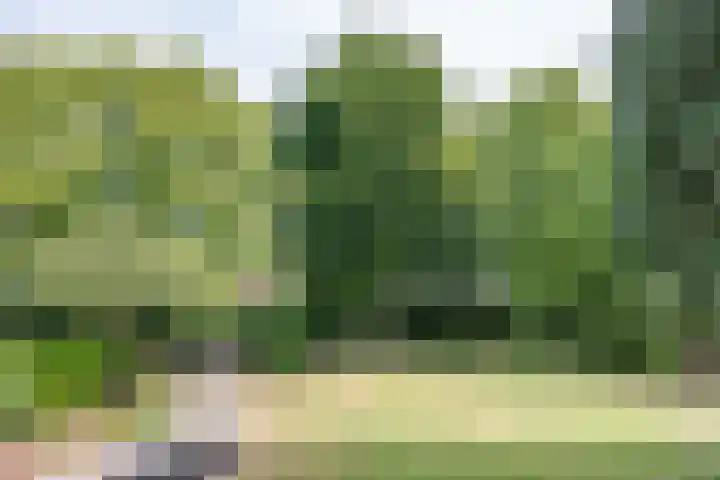 Oud Brandevoort 11 Helmond thumbnail 52